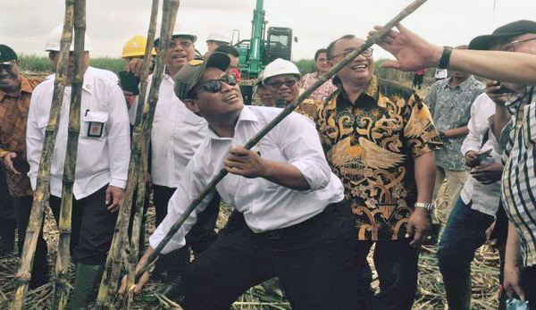 Komitmen Berpihak pada Petani Tebu, Kementan Terapkan `Regrouping` Lahan
